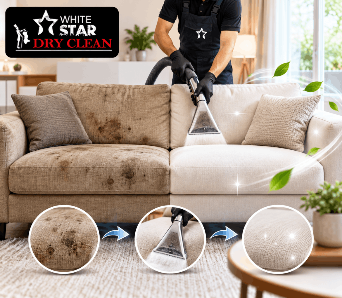Service Provider of Sofa Dry Clean in Ghaziabad, Uttar Pradesh, India.